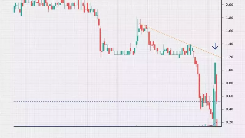 Understanding Bull Traps in Financial Markets