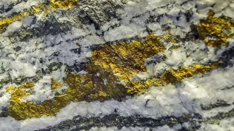 Northisle Copper and Gold: A Lucrative Speculative Investment