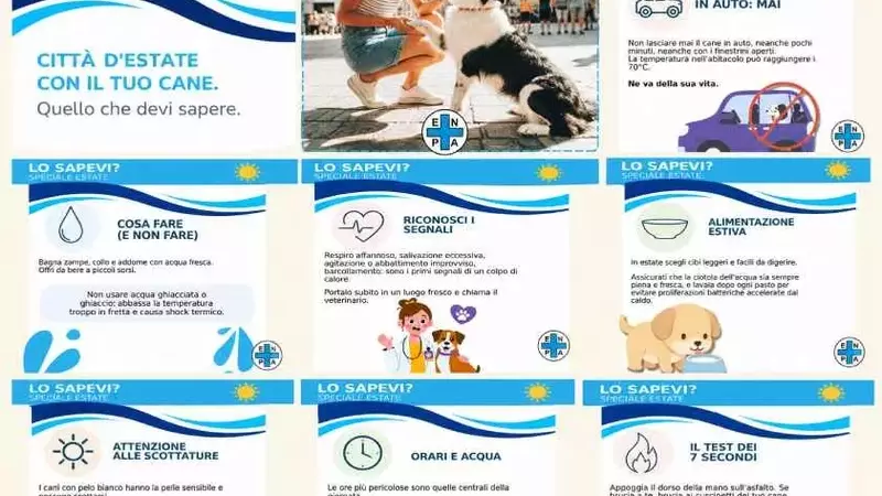 Ondata di calore: ENPA lancia un allarme e guida per proteggere gli amici a quattro zampe in città