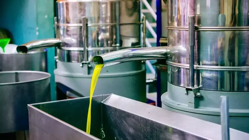 La Circolare di Lollobrigida sull'Olio d'Oliva: Un Velo di Fumo?