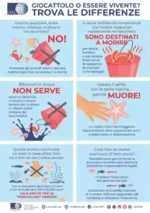 La campagna OIPA "Giocattolo o Essere Vivente?": salvaguardare la vita marina costiera