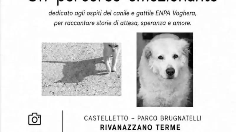 La mostra fotografica "Un percorso emozionante" di ENPA Voghera svela la vita del rifugio