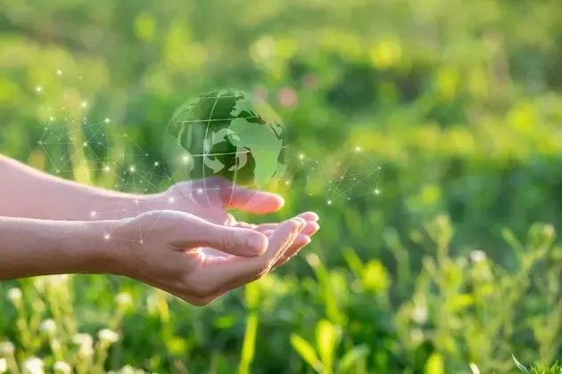 Navigating the Evolving Landscape of Corporate Sustainability