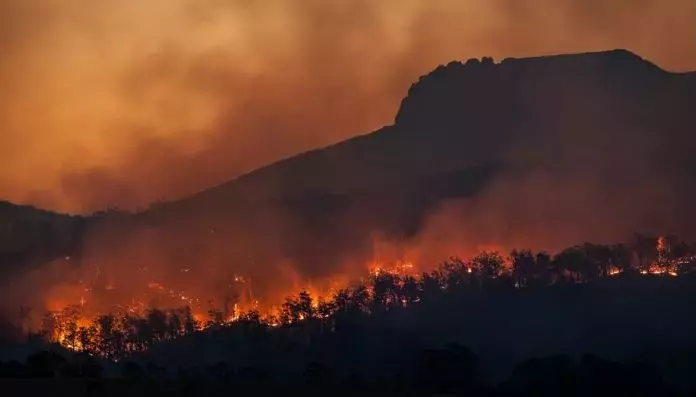Crisi Climatica e Incendi: Un'Estate Senza Fine