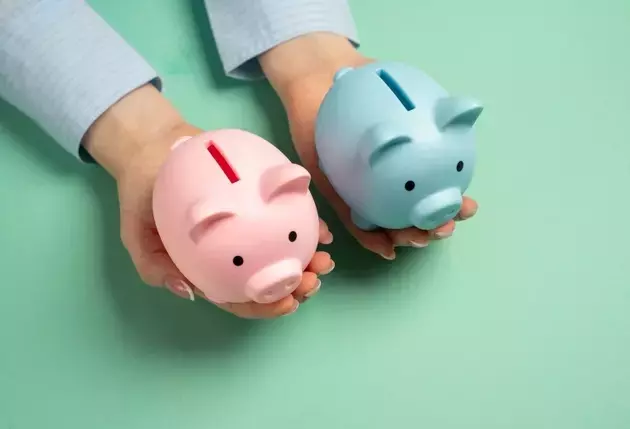 BDC Comparison: Hercules Capital vs. Trinity Capital