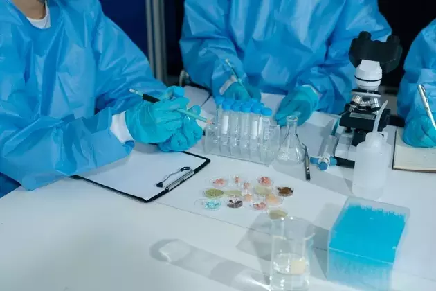 Celldex Therapeutics: Barzolvolimab Advances, Diversifying Portfolio, and Funding Status