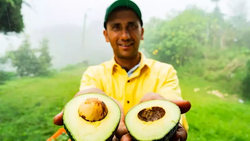 Mission Produce: A Post-Merger Assessment