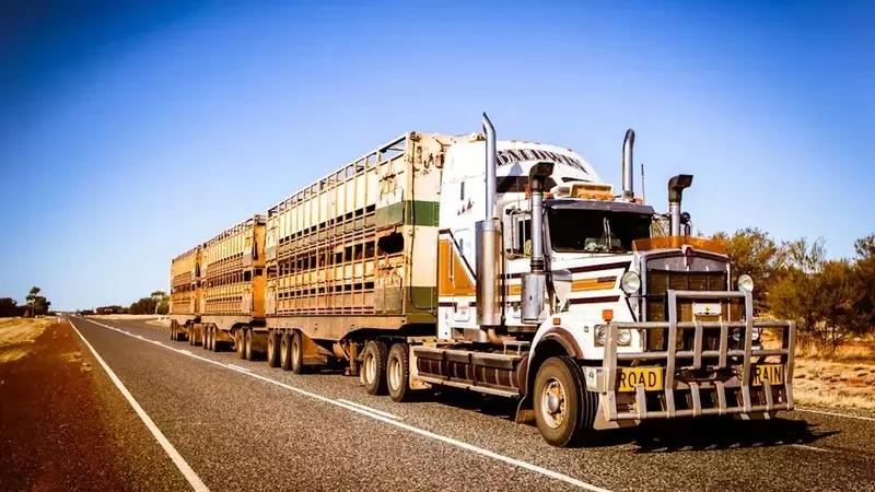 Transportation Sector Performance: A Tale of Two Trends Amid Rising Fuel Costs