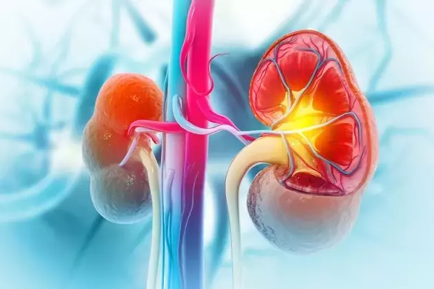 Eledon Pharmaceuticals: High Upside Potential in Tegoprubart Despite Single-Asset Risk