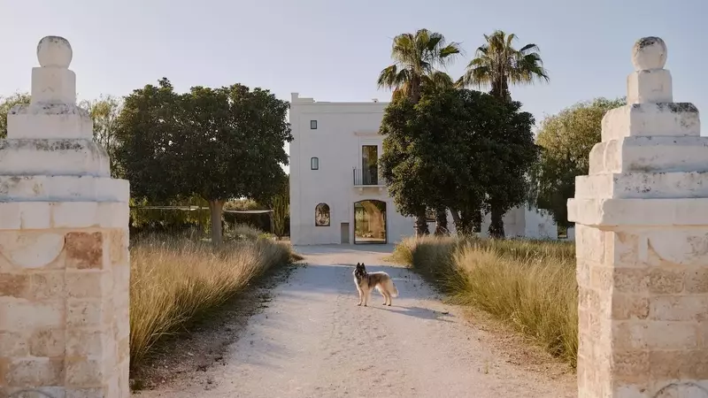 Masseria Ficazzella: Un Rifugio Rurale Ridisegnato con Eleganza Moderna in Puglia
