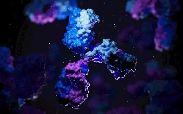 Immunovant's IMVT-1402: A Promising Antibody for Autoimmune Diseases