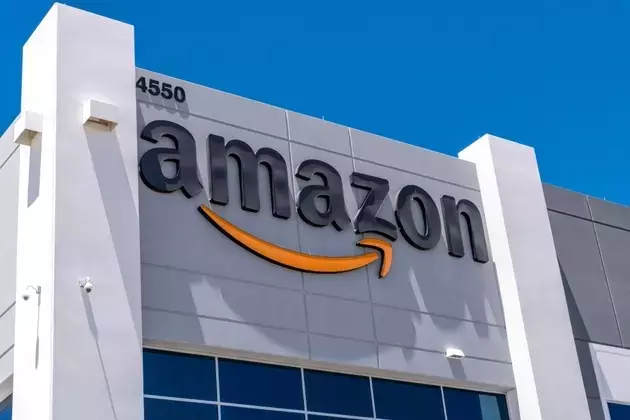Amazon's Strategic Investments: Short-Term Pain for Long-Term Gain?