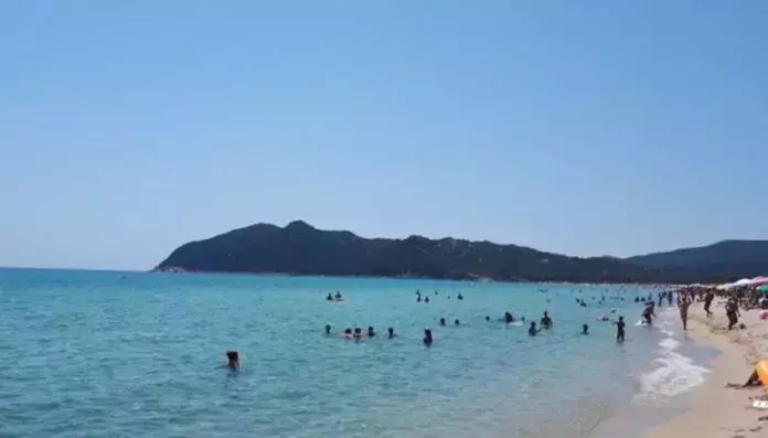 Ondate di Calore Marine: Allarme per gli Ecosistemi Italiani