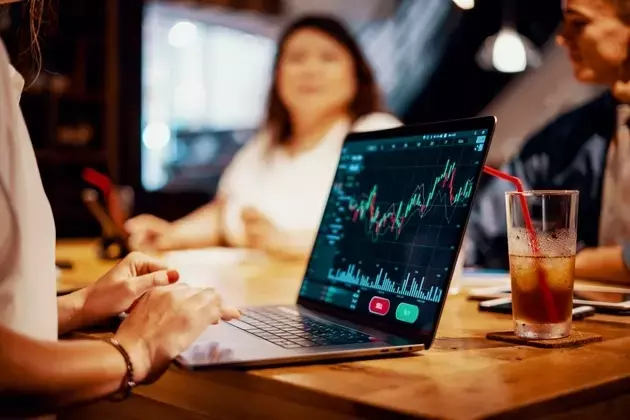 Bridging the Investor Behavior Gap: The Role of Financial Literacy and Professional Guidance