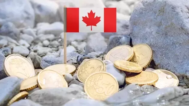 ClearBridge Canadian Small Cap Strategy's Q2 Performance Analysis