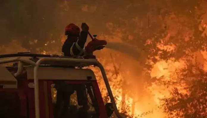 Incendi e Crisi Climatica: La Proposta di Greenpeace per una Transizione Energetica Finanziata
