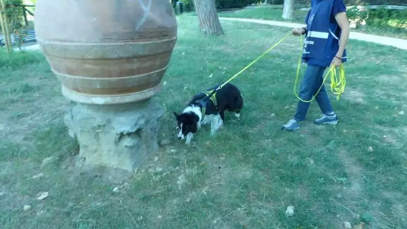 Firenze: Nessun Boccone Avvelenato Trovato Durante i Controlli delle Guardie Zoofile ENPA
