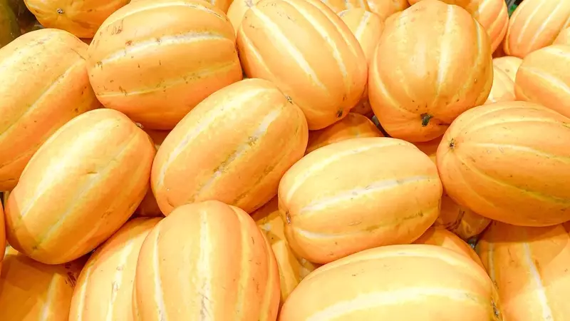 A Connoisseur's Guide to Selecting the Perfect Melon