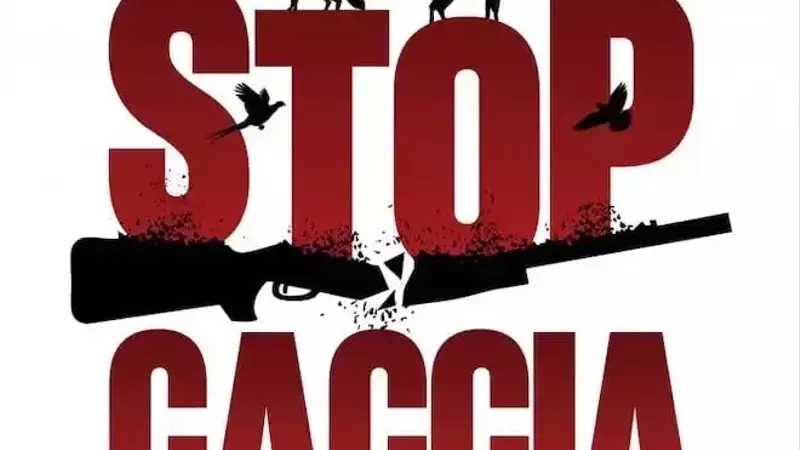 Caccia selvaggia, Enpa: grazie ai parlamentari che fanno ostruzionismo. Chiediamo al PD di proseguire il suo impegno dalla parte della Natura