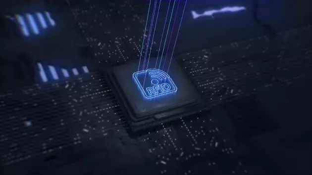 Zebra Technologies: Strong Q2 Performance and Future Growth Potential