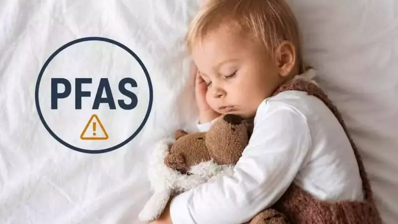 I Peluche Preferiti dei Bambini e i Pericoli Nascosti dei PFAS: Un Nuovo Studio Rileva Contaminazione Diffusa
