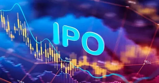 The Evolving Landscape of Initial Public Offerings