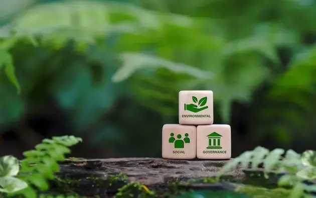 Innovations in Tailings Reprocessing: A Sustainable Future for Mining
