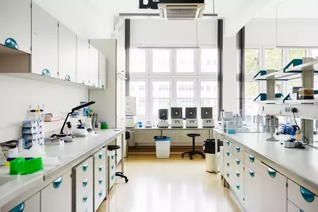 Pacira BioSciences: Advancing in Musculoskeletal Pain Management and Valuation Growth