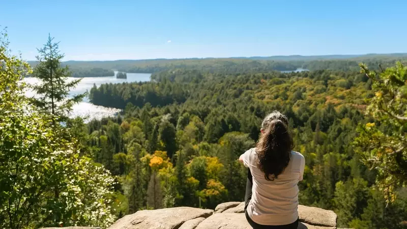 Algonquin Power: A Strategic Shift Towards Stability and Growth