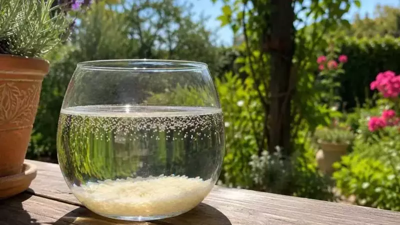 Il Rituale dell'Acqua di San Lorenzo: Dal Desiderio alla Concretizzazione il Giorno Dopo