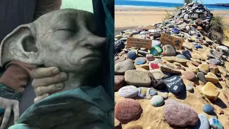 I Sostenitori di Harry Potter Salvano il Memoriale di Dobby: Il Cavo Sottomarino Greenlink Devia il Percorso