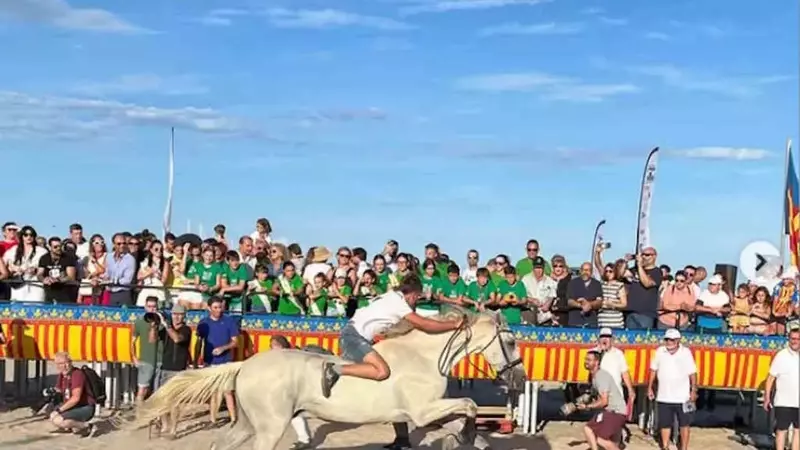 Le Controverse Corride di Gioielli a Valencia: Tra Tradizione e Benessere Animale