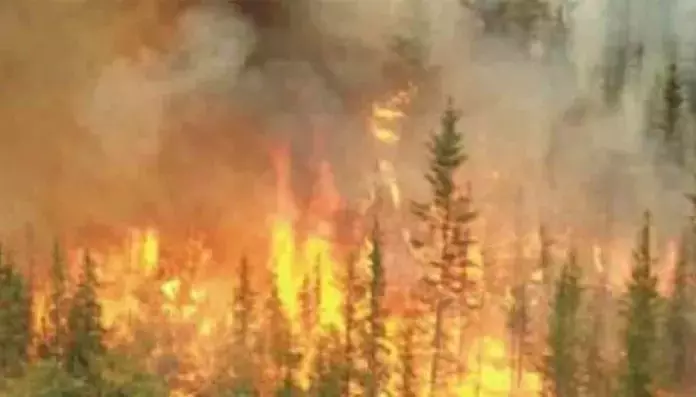 Piemonte Estende lo Stato di Emergenza per Incendi e Siccità a Tutta la Regione