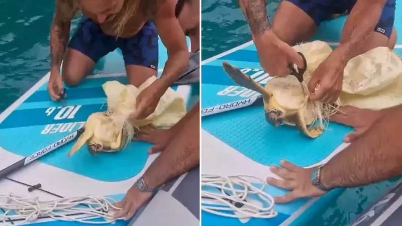 Salvataggio straordinario di una tartaruga intrappolata nella plastica in Sardegna