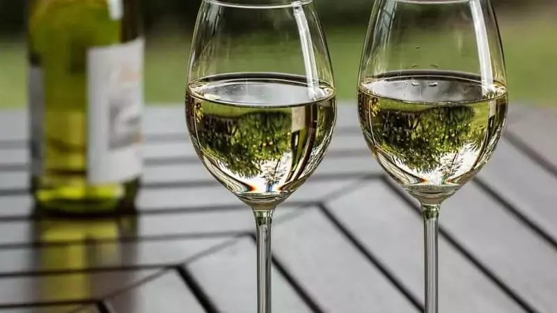 Eccellenze Spumanti: I Migliori Prosecco Valdobbiadene Sotto i 20 Euro
