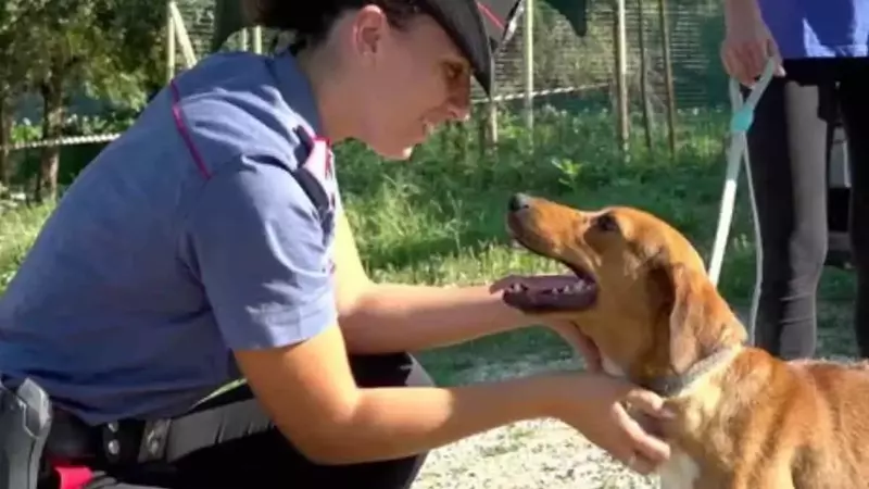 Solidarietà e responsabilità: i Carabinieri in visita al rifugio animali di Città di Castello per Ferragosto