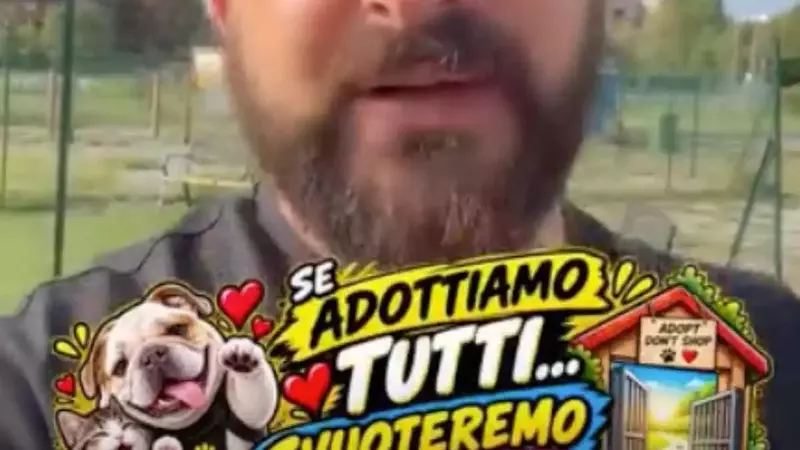 Smentite le affermazioni del "dog trainer n.1" sull'economia dei rifugi per animali