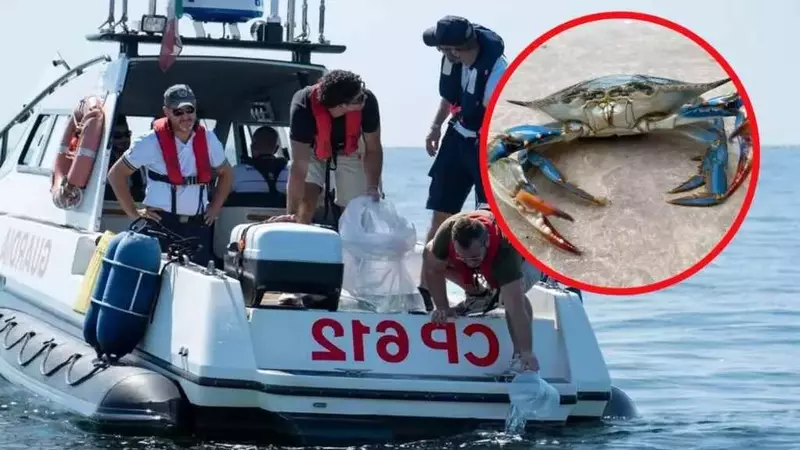 Polpi nell'Adriatico per contrastare il Granchio Blu