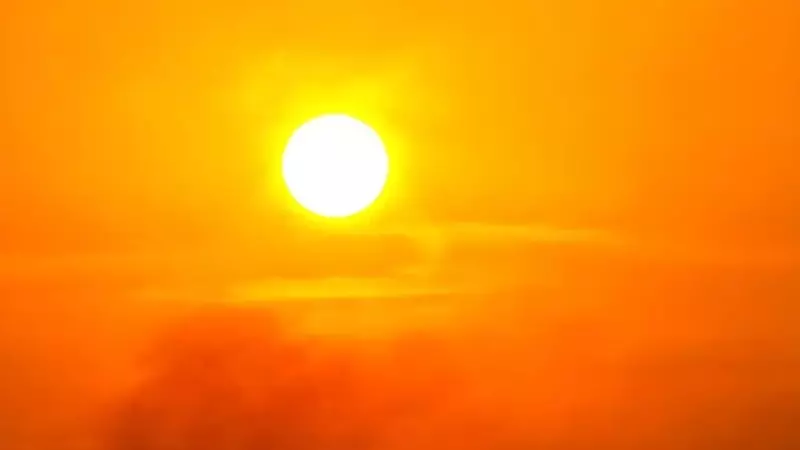 Italia affronta l'emergenza climatica: appello del WWF per un'azione politica urgente