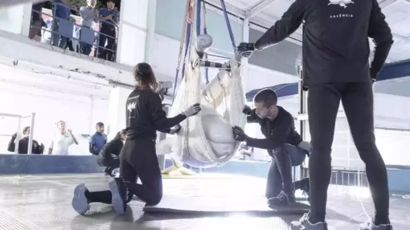 Salvati dall'Eutanasia ma non dalla Cattività: Il Destino dei Cetacei di Marineland