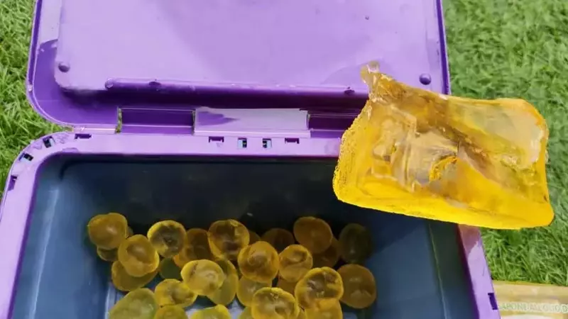 Sapone Alga: Ritorno di un alleato versatile ed economico per la casa e il giardinaggio