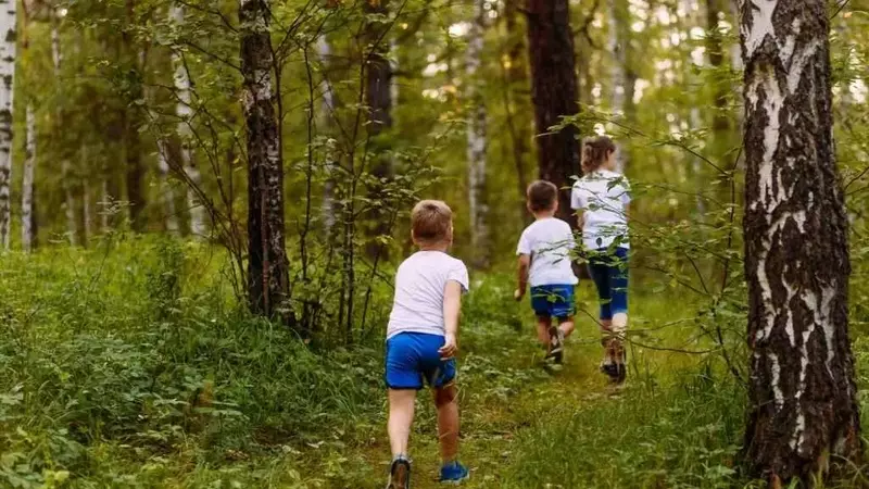 Famiglia nel bosco: ricongiungimento graduale con i figli