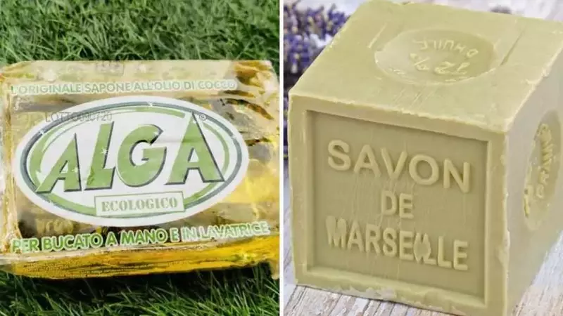 Sapone Alga: La Guida Completa all'Uso Domestico ed Ecologico
