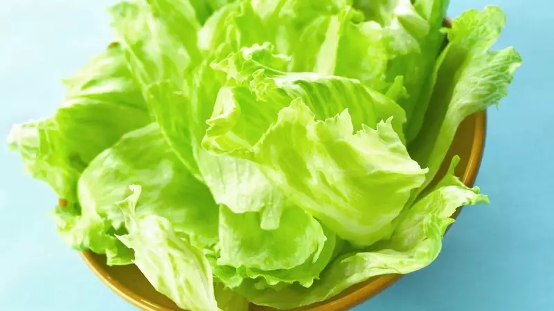 Epidemia di Cyclospora negli Stati Uniti: migliaia di casi legati alla lattuga Iceberg