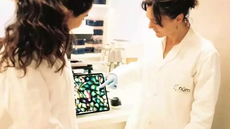 La Francia finanzia la produzione di latte materno coltivato in laboratorio