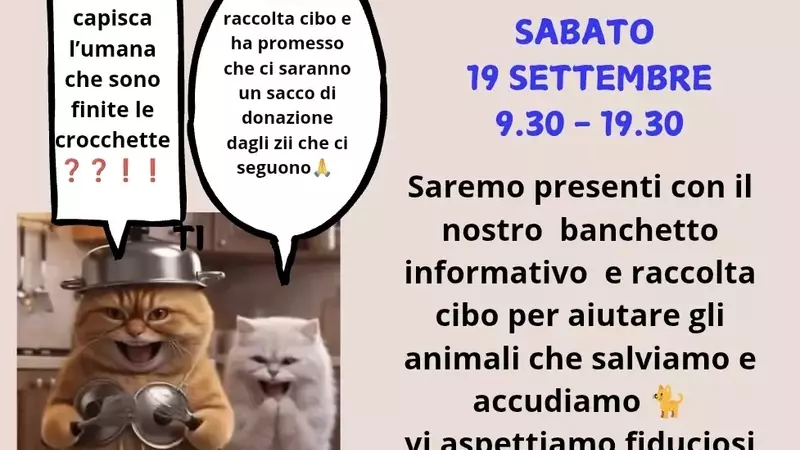 Iniziativa di Raccolta Cibo per Animali Bisognosi a Padova