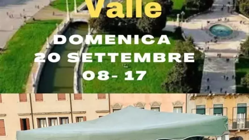 Volontariato e Solidarietà: Un Incontro per gli Animali a Padova