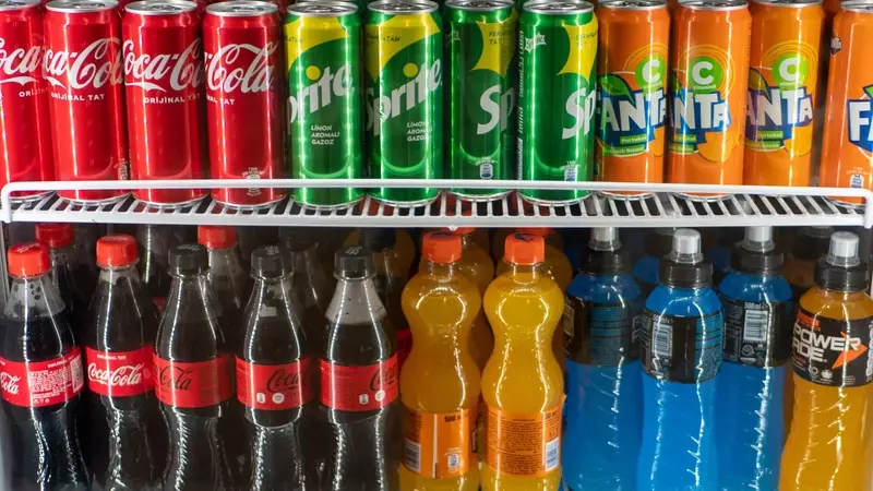 Conflitti di Interessi: Il Comitato Britannico per la Nutrizione e i Legami con l'Industria Alimentare