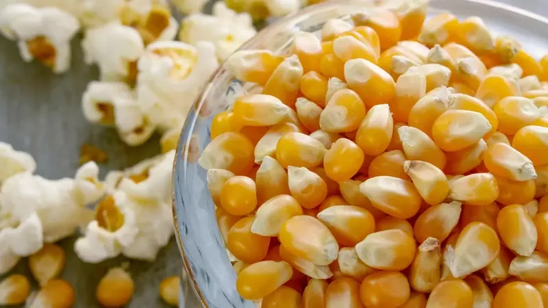 Richiamo di Mais per Popcorn Biologico: Rilevata Presenza di Alcaloidi Tropanici Oltre i Limiti Legali