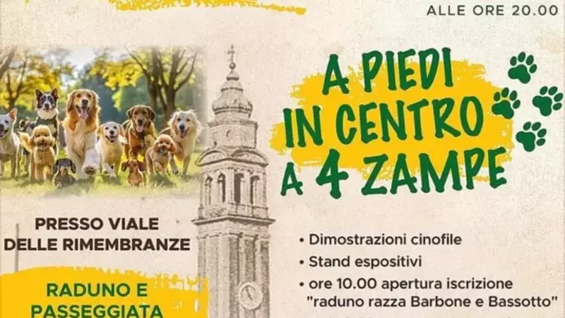 OIPA Venezia: Un Evento Dedicato agli Amici a Quattro Zampe a Mirano